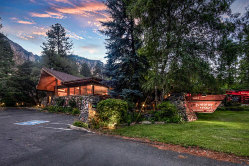 265A0836-Edit-Edit-Edit copy 2