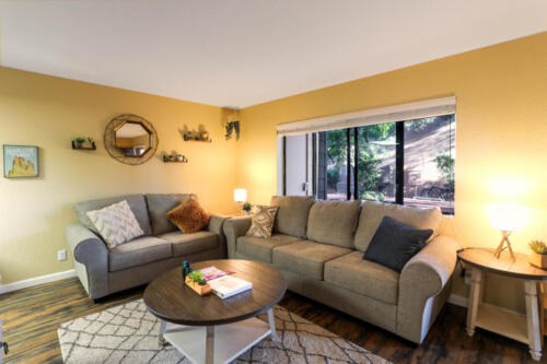 265A4296-Edit-Edit-Edit