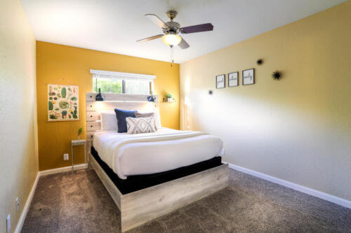 265A4494-Edit-Edit-Edit