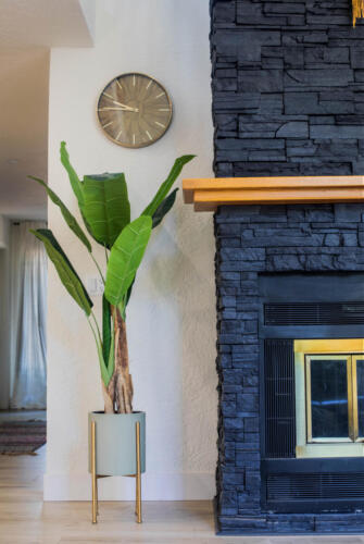 265A7445-Edit-Edit copy