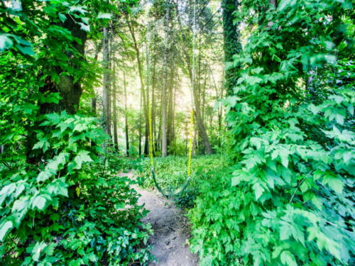 Sedona. Pine Flats Home Backyard Swing. Photo: Property Pro Media